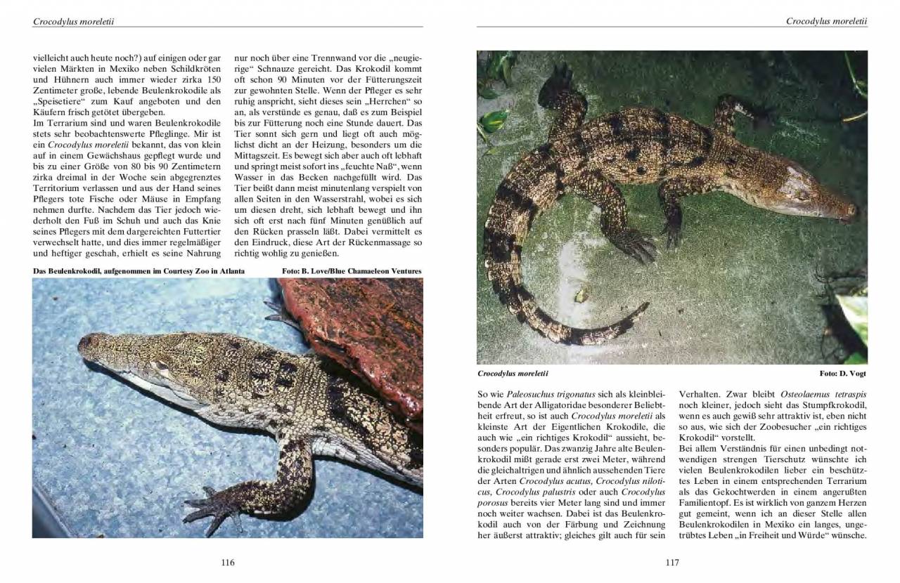 Krokodile – Ein Leben mit Panzerechsen